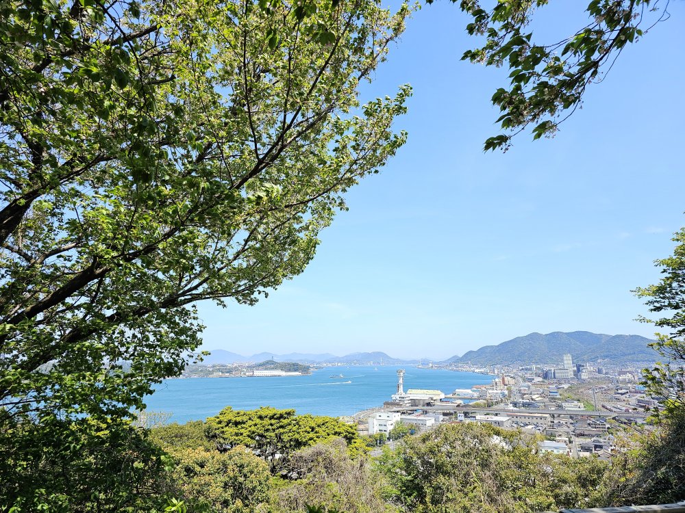 20240414162934.jpg 20240414162934.jpg