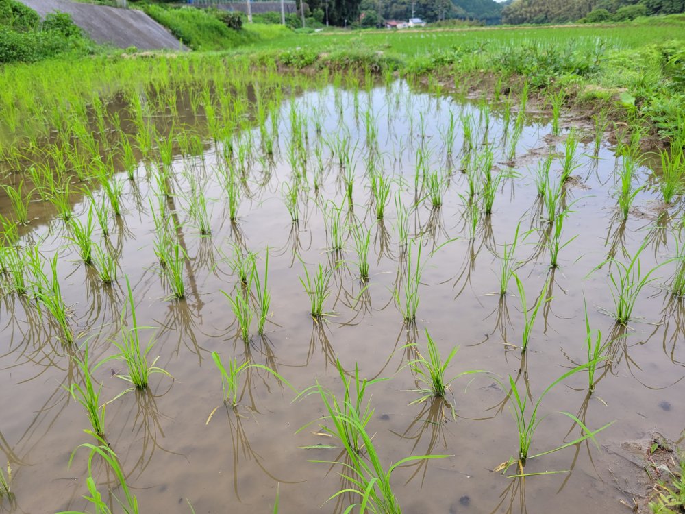 20240626170653.jpg 20240626170653.jpg