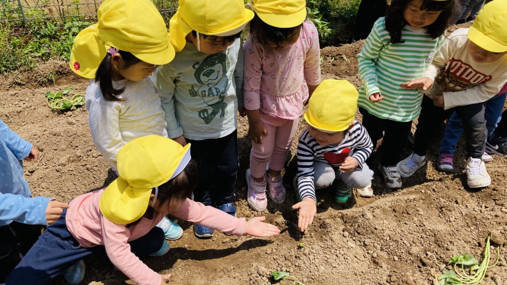 20240626210849.jpg 20240626210849.jpg