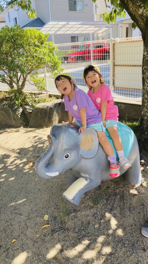 20241101092532.jpg 20241101092532.jpg