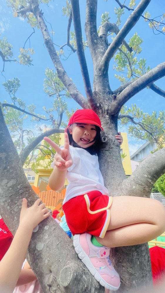 20241101093008.jpg 20241101093008.jpg