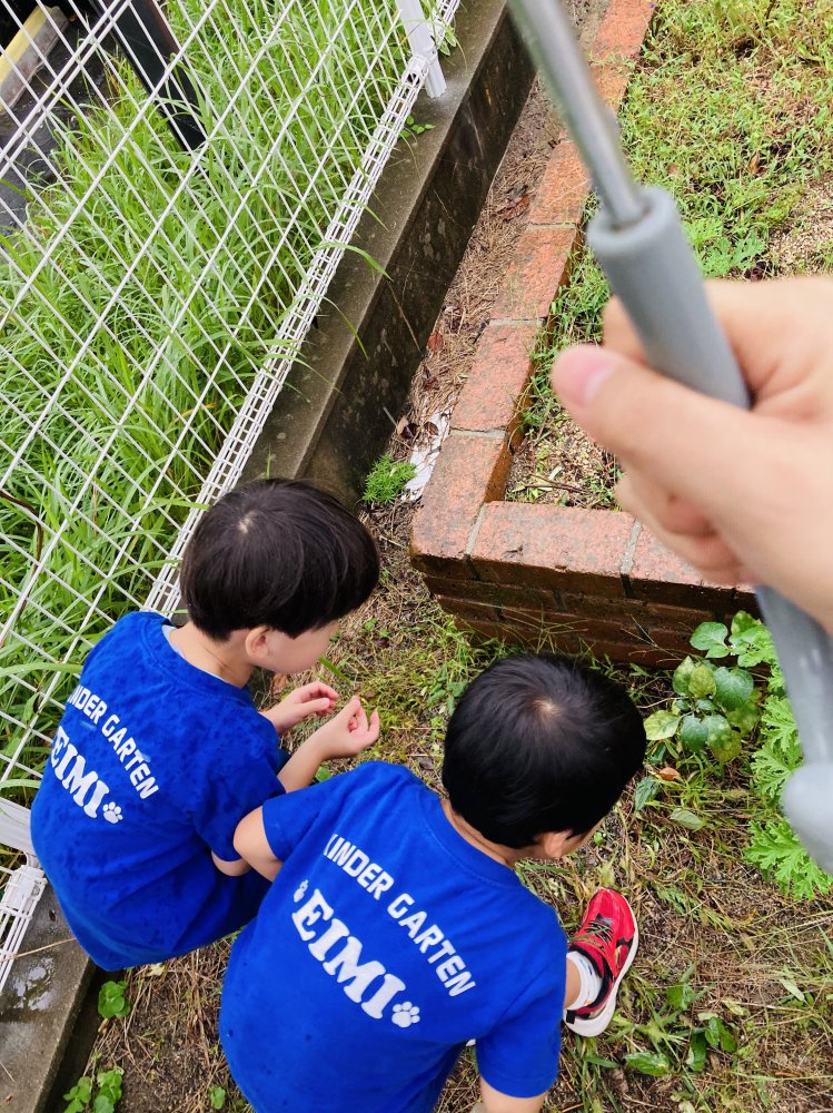 20241129165320.jpg 20241129165320.jpg