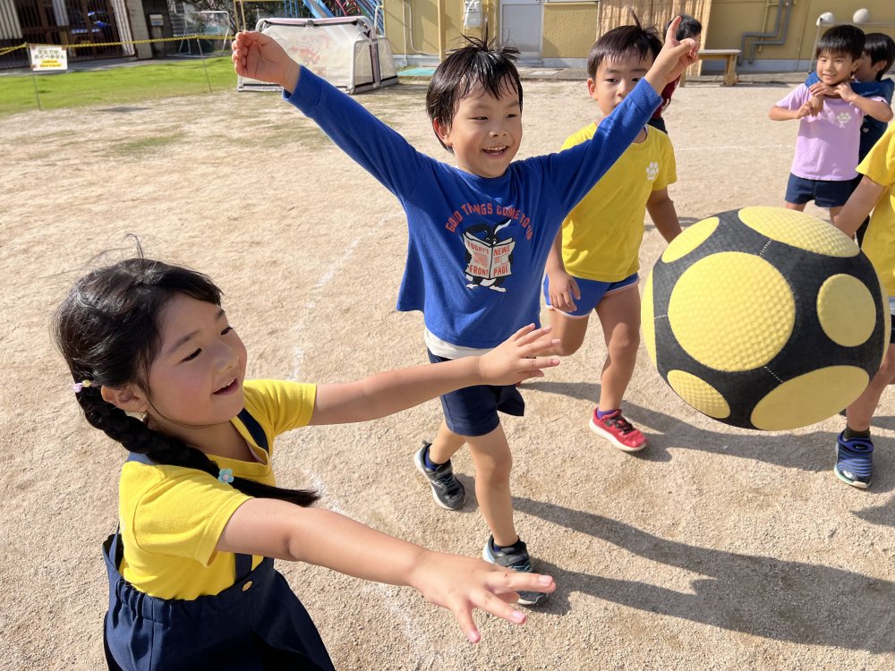 20241129165321.jpg 20241129165321.jpg