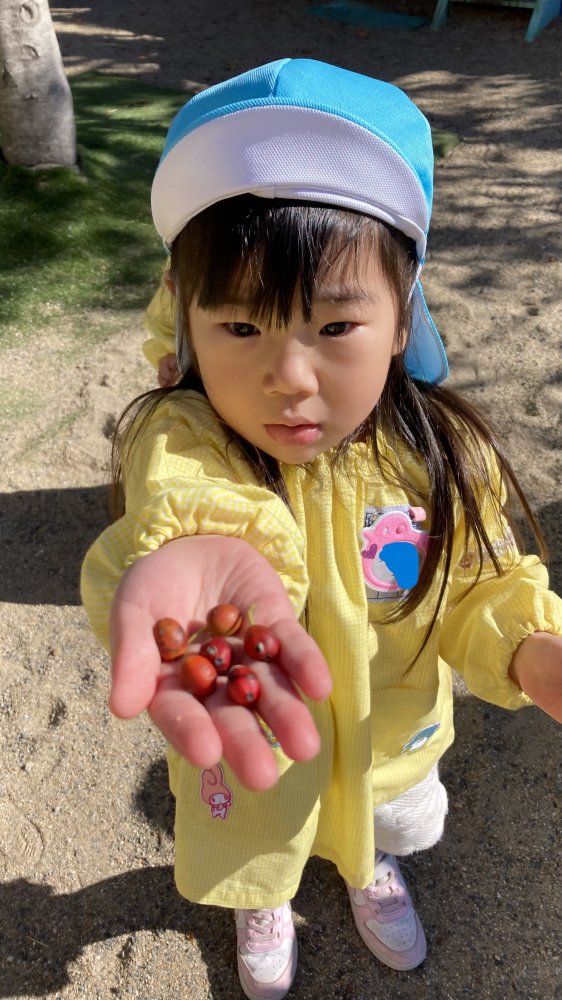 20241129165705.jpg 20241129165705.jpg