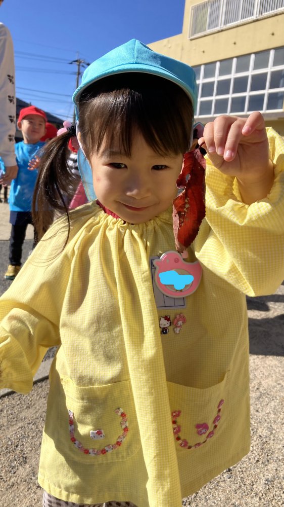 20241129165706.jpg 20241129165706.jpg