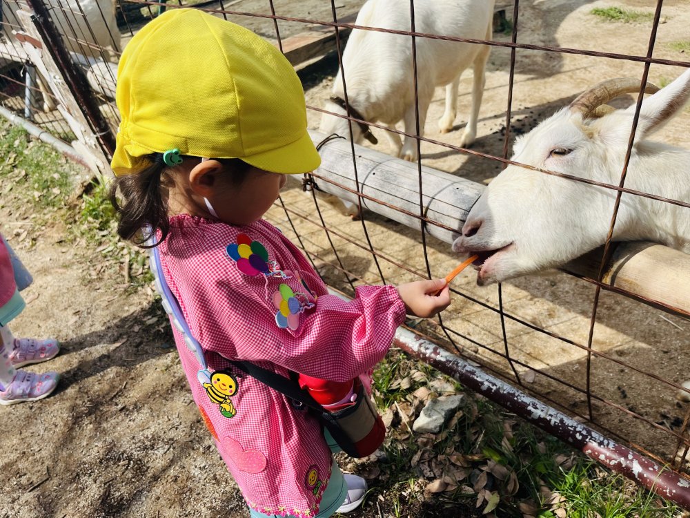 20241129170952.jpg 20241129170952.jpg