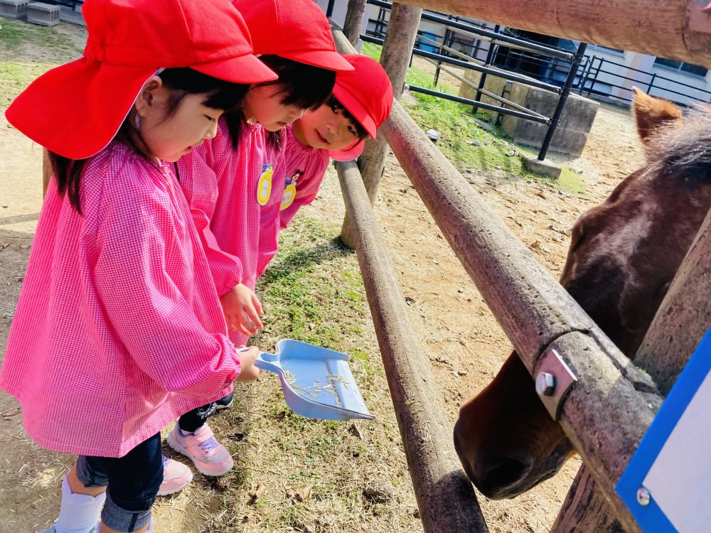 20241129171048.jpg 20241129171048.jpg